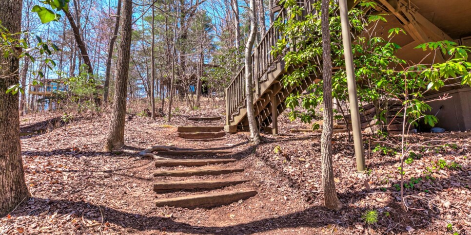 Big Canoe - Treehouse of Life - Exterior