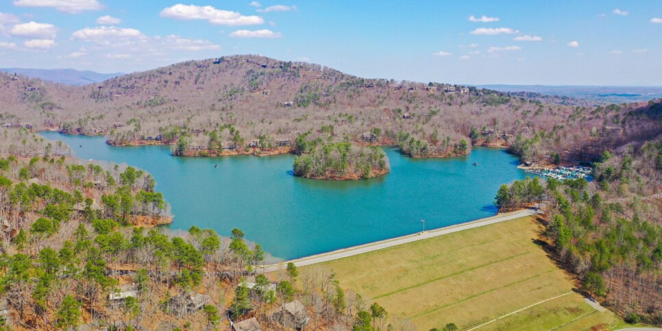 Big Canoe - Treehouse of Life - Exterior