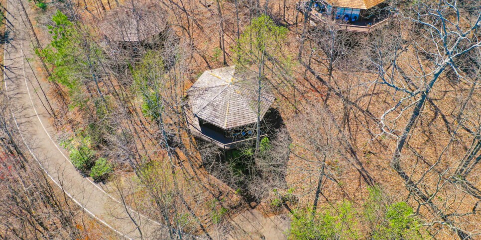 Big Canoe - Treehouse of Life - Exterior