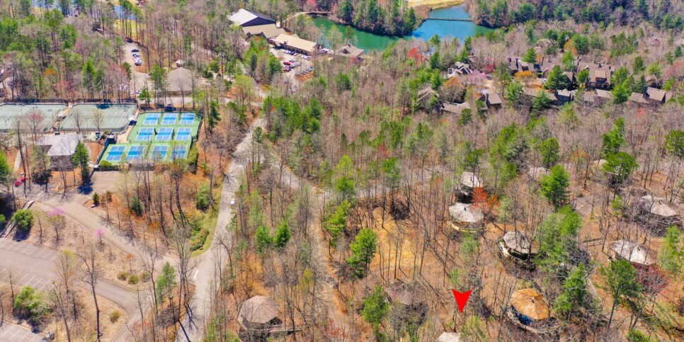 Big Canoe - Treehouse of Life - Exterior