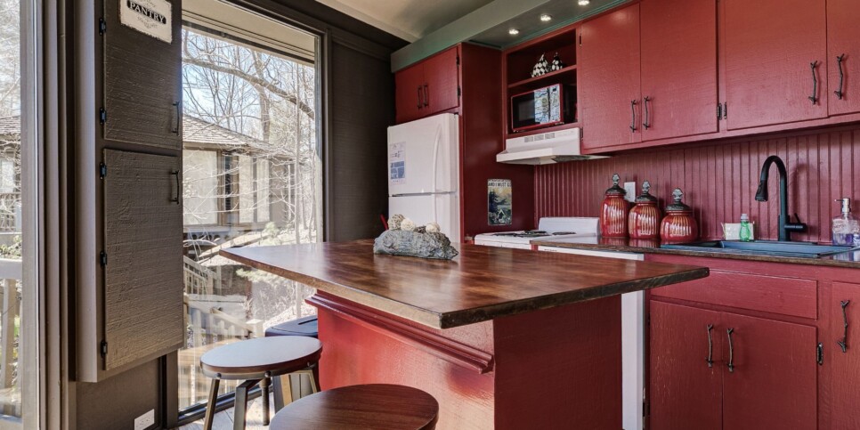 Big Canoe - Treehouse of Life - Kitchen