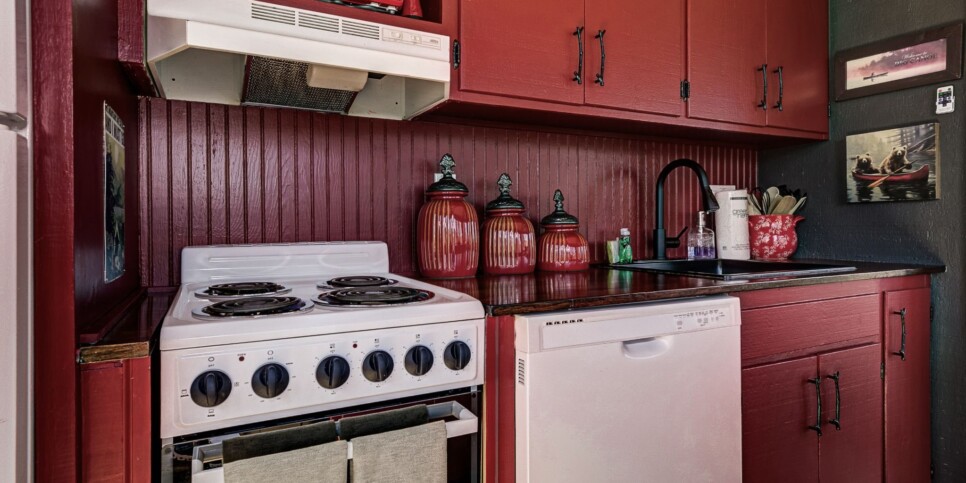 Big Canoe - Treehouse of Life - Kitchen