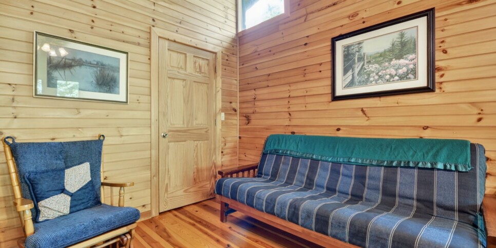 Blue Ridge Cabin - Our Favorite Place - Living Room