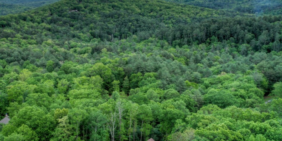Cherry Log Cabin - The Lost Shepherd - Exterior
