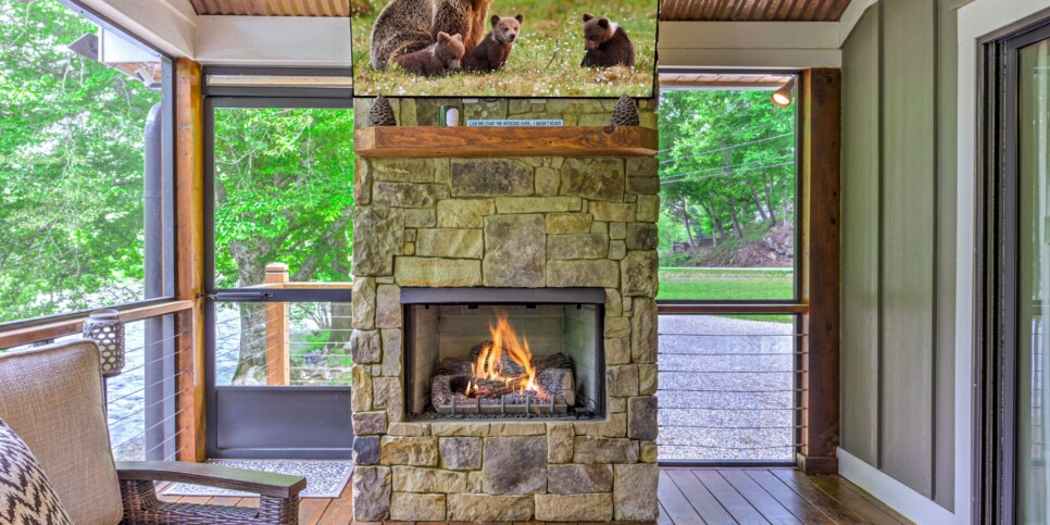 Blue Ridge Cabin - River Cottage of Blue Ridge - Exterior