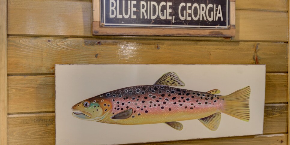 Blue Ridge Cabin - River Cottage of Blue Ridge - Living Room