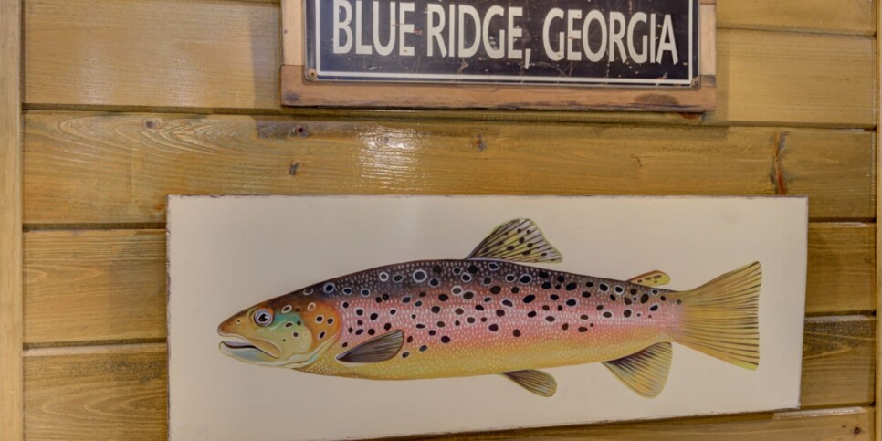 Blue Ridge Cabin - River Cottage of Blue Ridge - Living Room