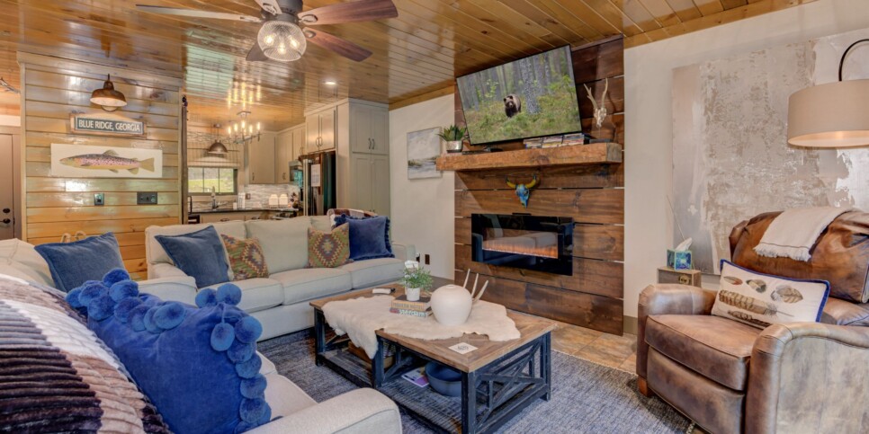Blue Ridge Cabin - River Cottage of Blue Ridge - Living Room