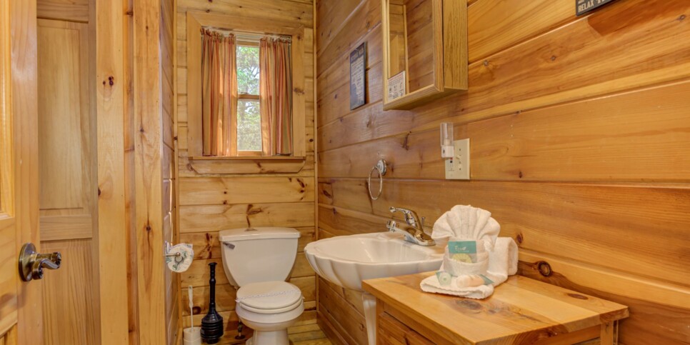 Blue Ridge Cabin - Sunrise Splendor - Bathroom