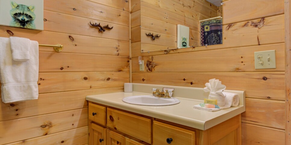 Blue Ridge Cabin - Sunrise Splendor - Bathroom