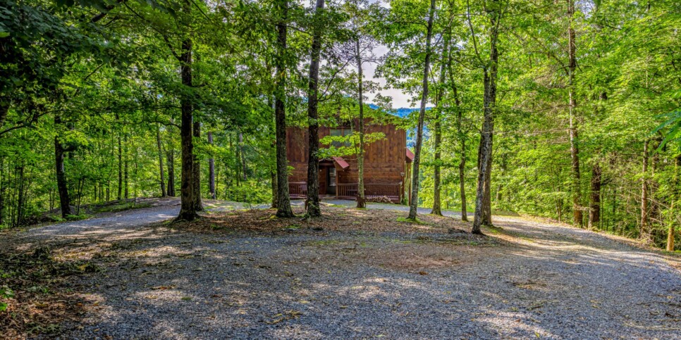 Blue Ridge Cabin - Sunrise Splendor - Exterior