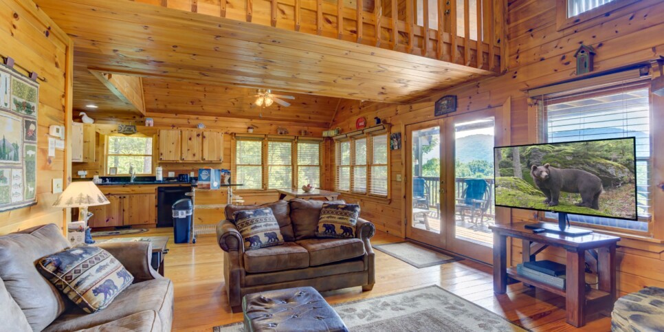 Blue Ridge Cabin - Sunrise Splendor - Living Room