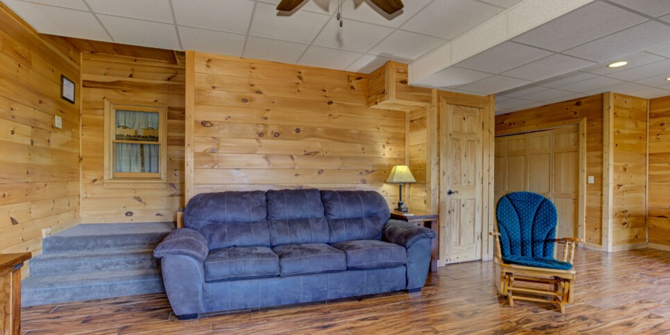 Blue Ridge Cabin - Sunrise Splendor - Rec Room