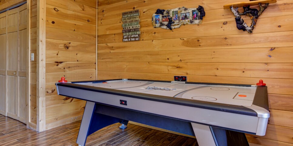 Blue Ridge Cabin - Sunrise Splendor - Rec Room