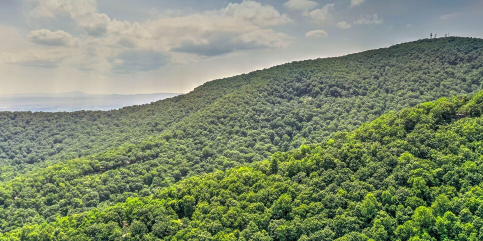 Big Canoe Cabin - Woodland Wonder - Exterior
