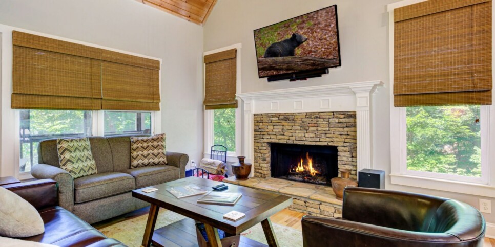 Big Canoe Cabin - Woodland Wonder - Living Room