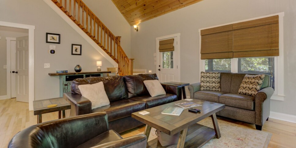 Big Canoe Cabin - Woodland Wonder - Living Room