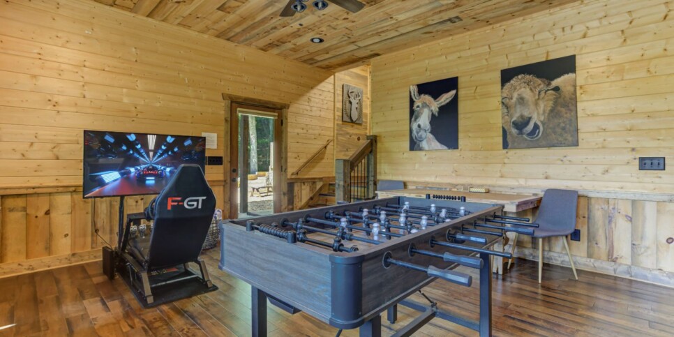Blue Ridge - Little Creek Cabin - Rec Room