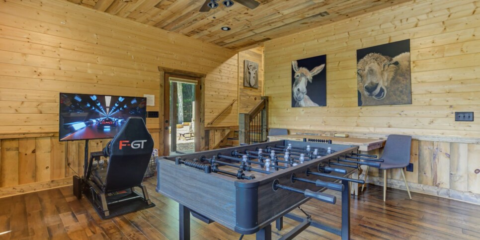 Blue Ridge - Little Creek Cabin - Rec Room