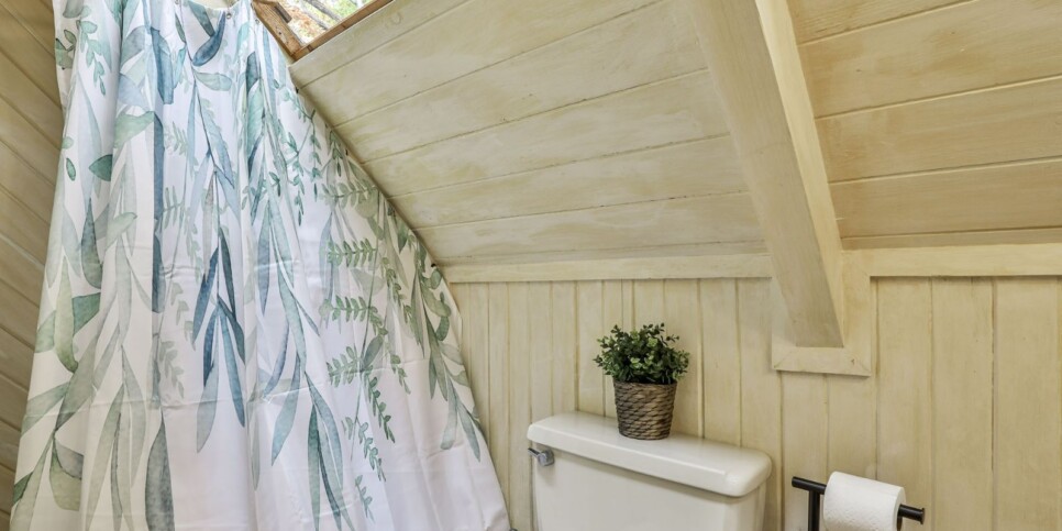 Big Canoe - Good Times - Bathroom