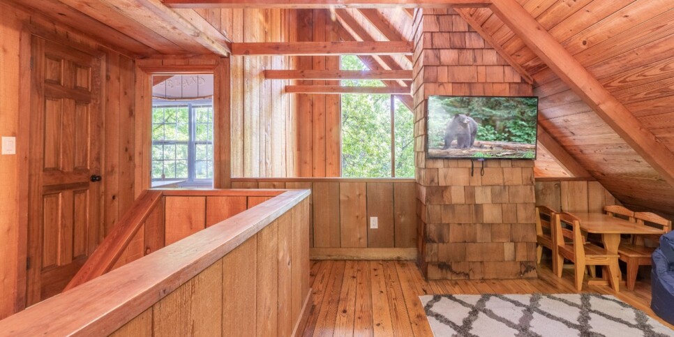 Big Canoe - Good Times - Loft