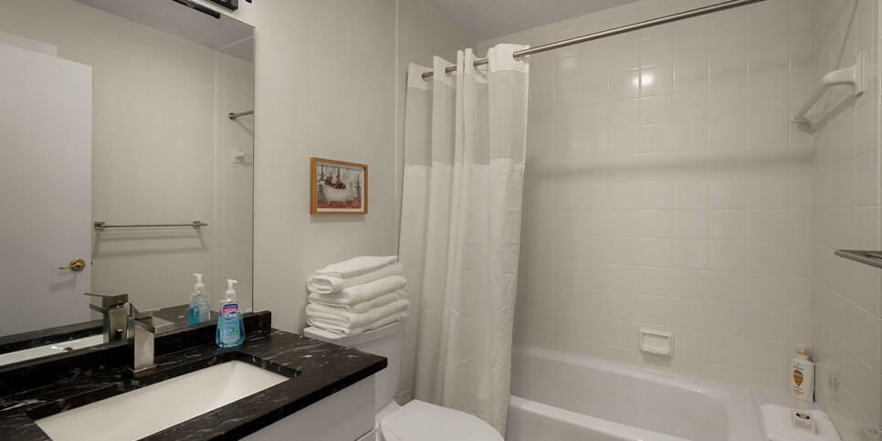Big Canoe - Heaven on Earth - Bathroom