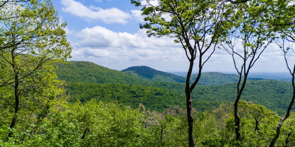 Big Canoe - Heaven on Earth - Exterior