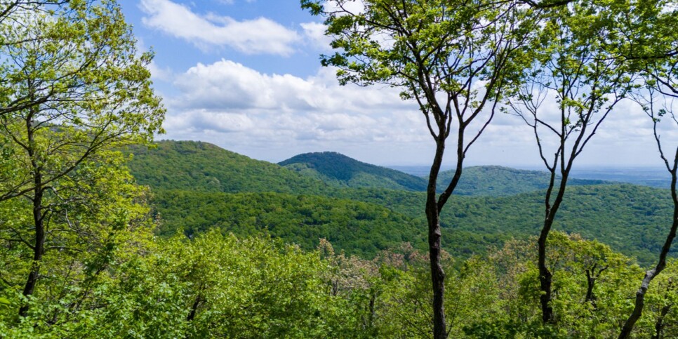 Big Canoe - Heaven on Earth - Exterior