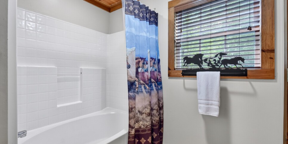 blue-ridge-cabins-cowboy-cabin-bathroom