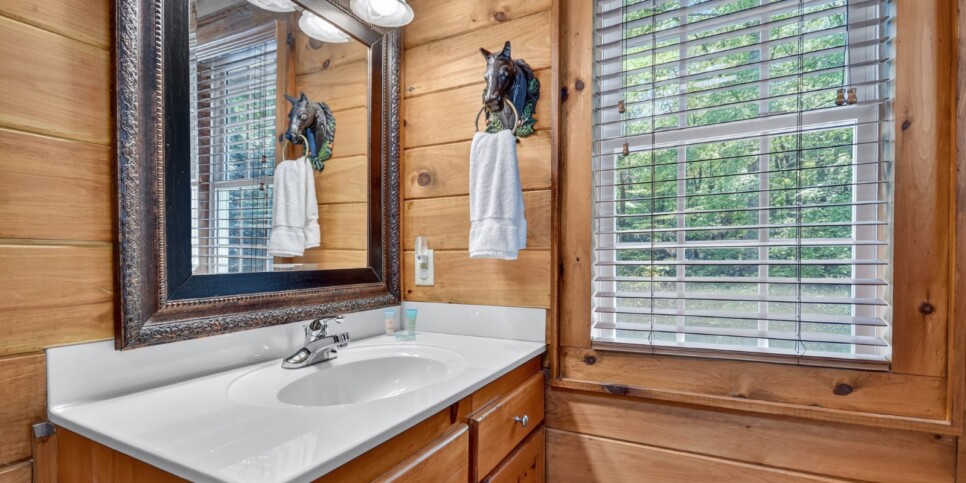 blue-ridge-cabins-cowboy-cabin-bathroom
