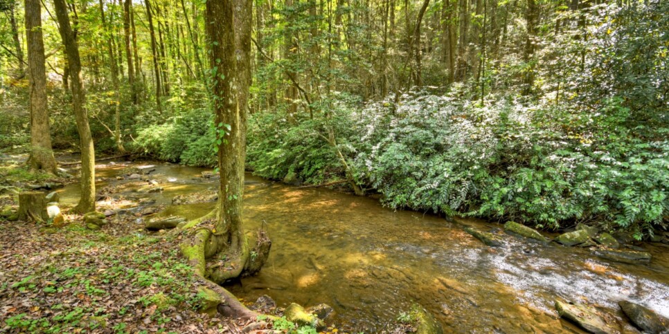blue-ridge-cabins-cowboy-cabin-exterior