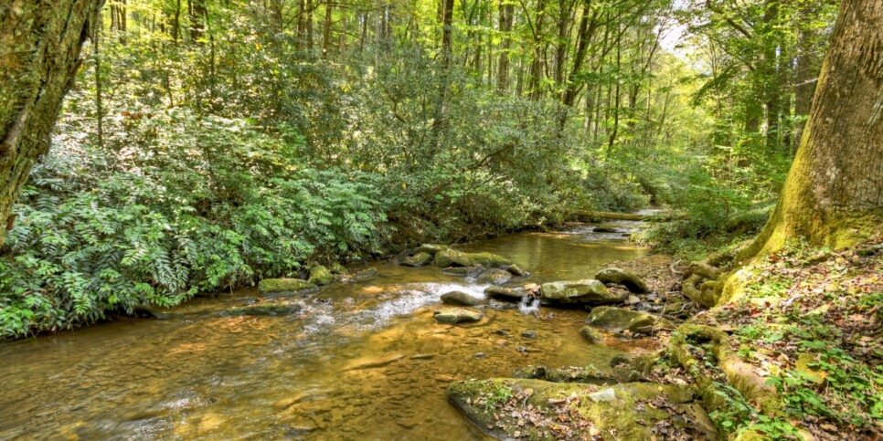 blue-ridge-cabins-cowboy-cabin-exterior