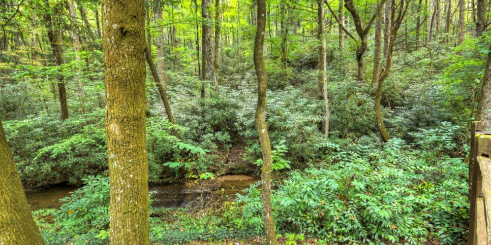 blue-ridge-cabins-cowboy-cabin-exterior