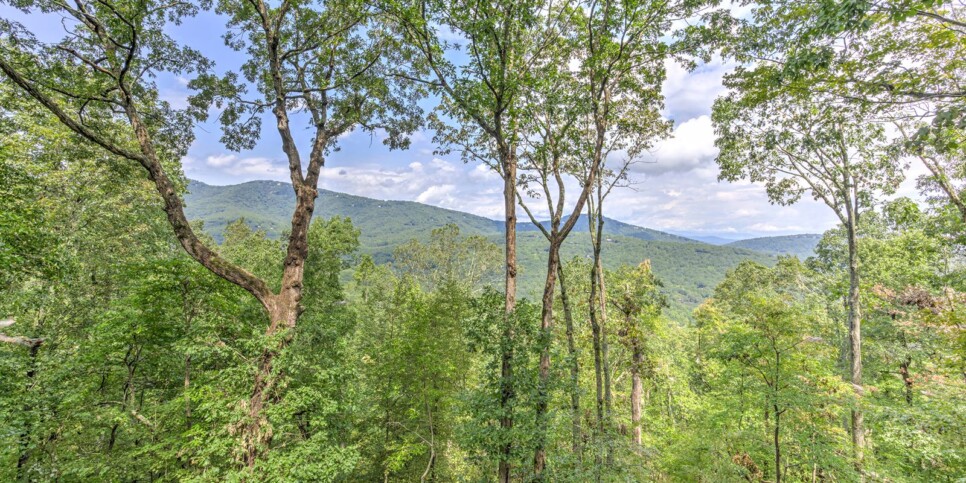 Big Canoe - Casa Bella - Exterior