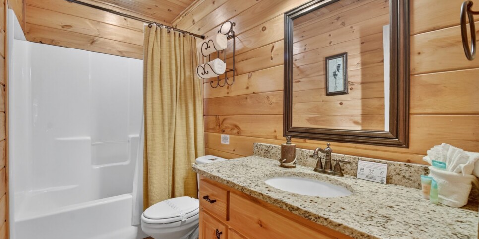 blue ridge amazing mountain view bathroom