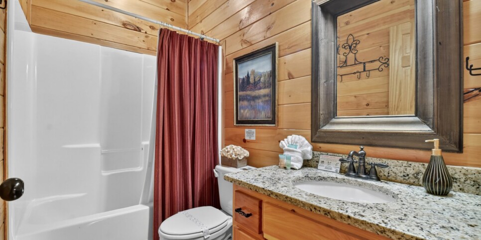 blue ridge amazing mountain view bathroom