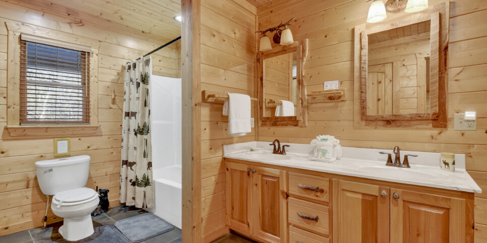 blue ridge astounding river view bathroom