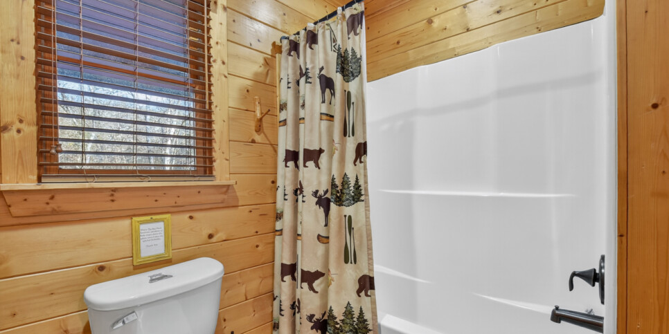 blue ridge astounding river view bathroom