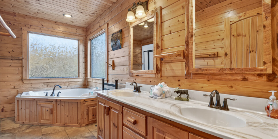 blue ridge astounding river view bathroom