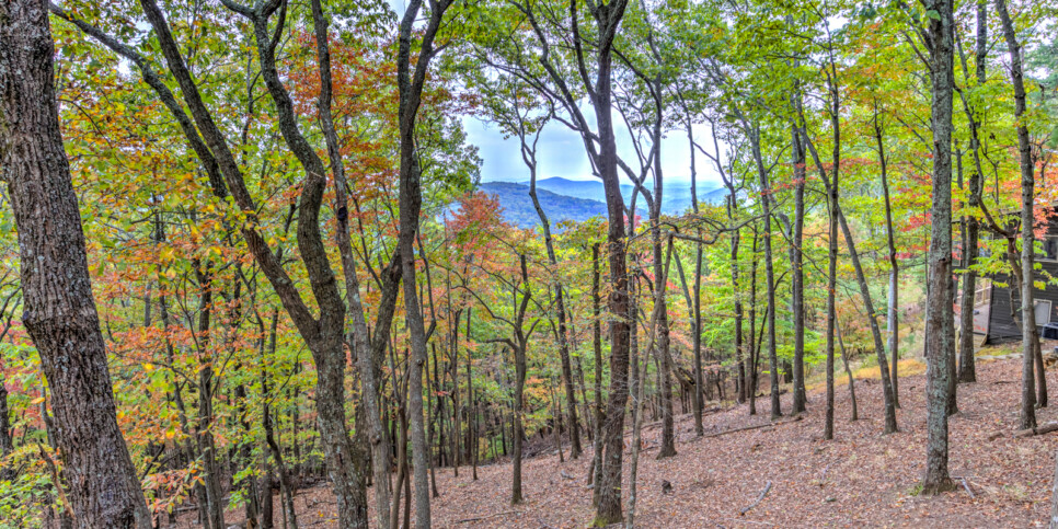 big-canoe-serenitys-edge-exterior