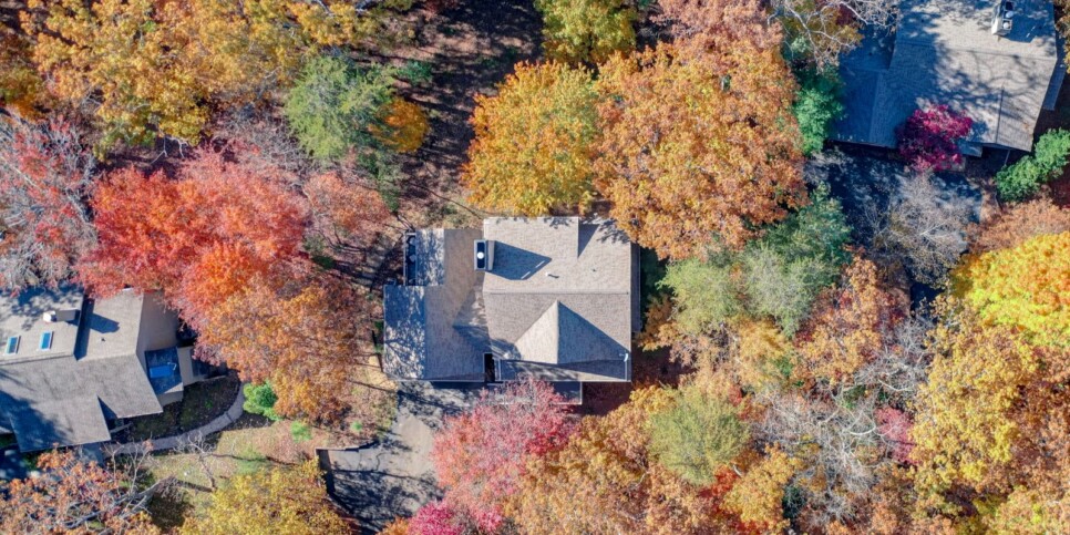 Big Canoe - Deer Memories - Exterior