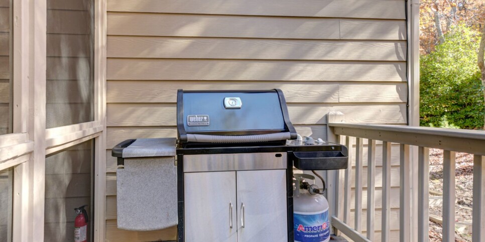 Big Canoe - Deer Memories - Exterior