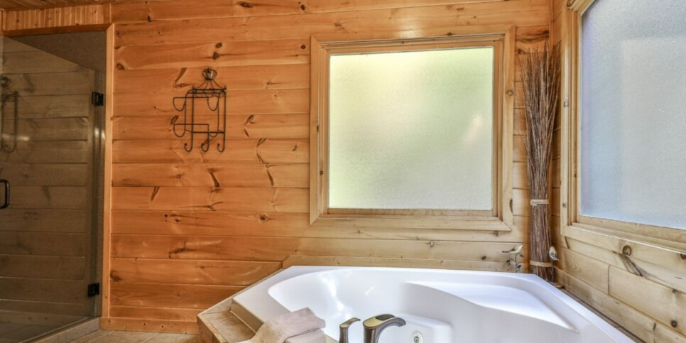 Blue Ridge - Amazing Mountain View - Temporary Photos