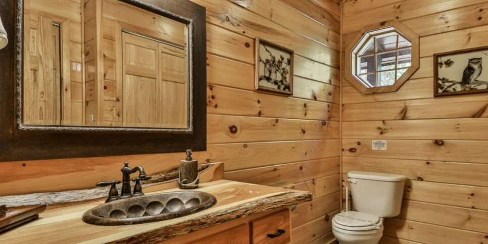 Blue Ridge - Amazing Mountain View - Temporary Photos