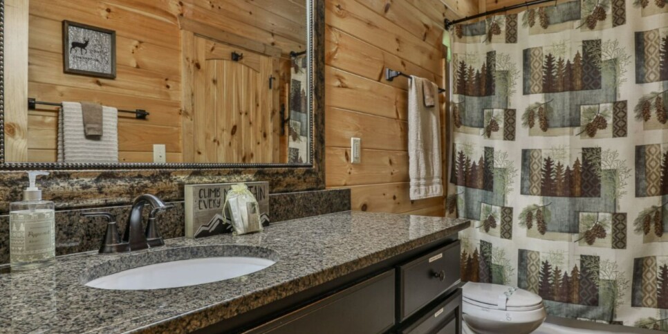 Blue Ridge - Awe-Inspiring Mountain View - Temporary Photos