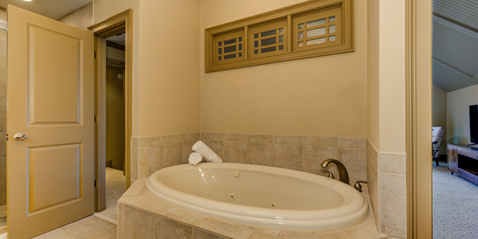 Big Canoe Chipmunk Crossing Bathroom