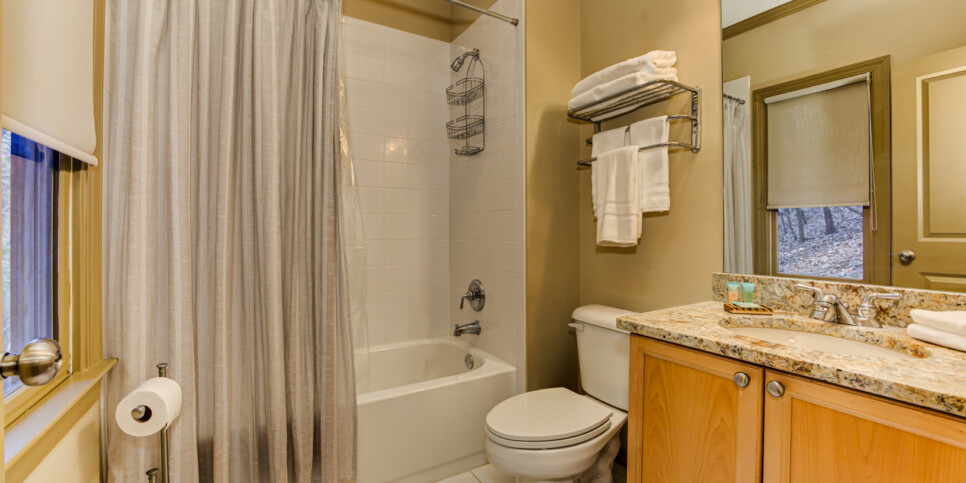 Big Canoe Chipmunk Crossing Bathroom