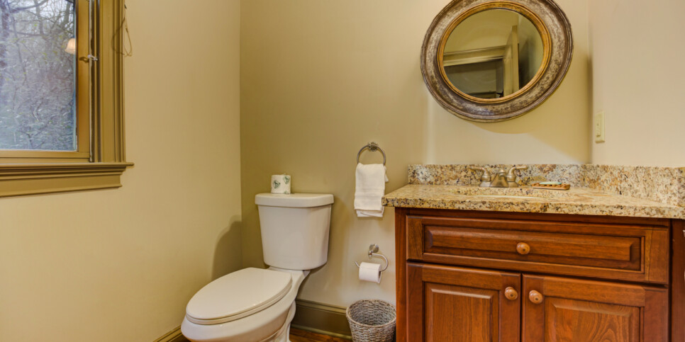 Big Canoe Chipmunk Crossing Bathroom