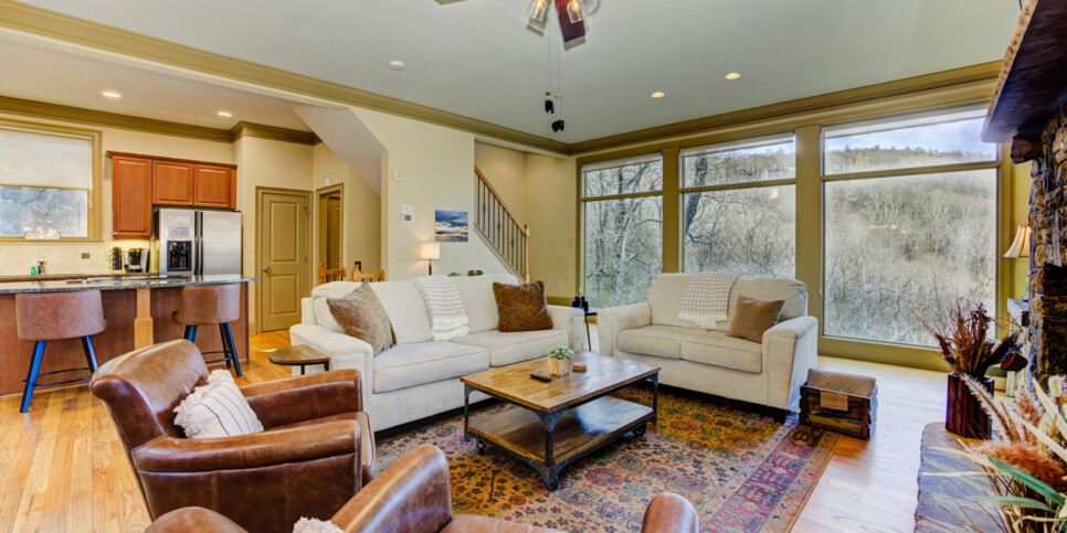 Big Canoe Chipmunk Crossing Living Room