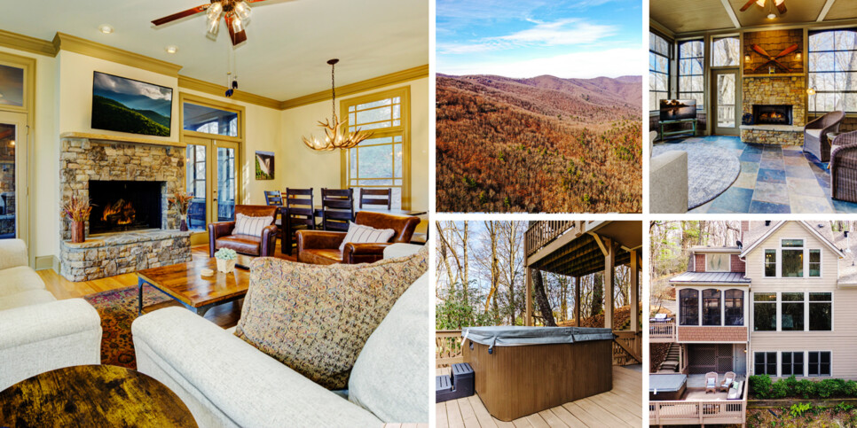 Big Canoe Chipmunk Crossing Collage